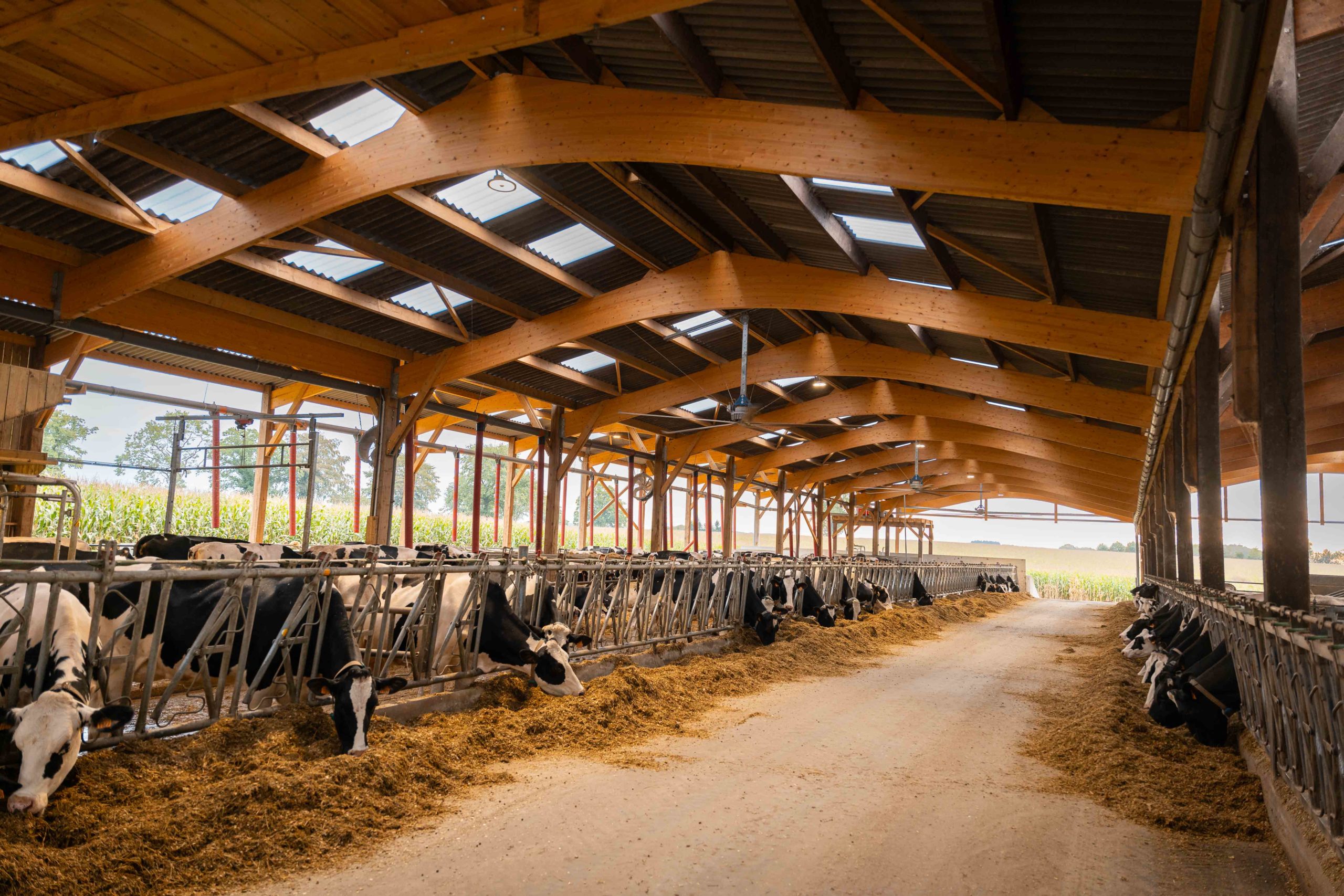 Construction d&rsquo;une stabulation